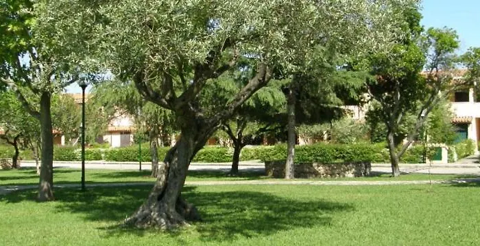 Bilocale Al Villaggio Degli Ulivi San Teodoro